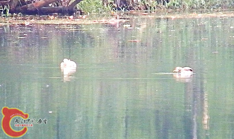 PA100181.JPG