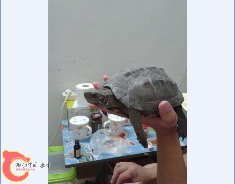 4%@)CS0K983L8AX488BKPVV.jpg