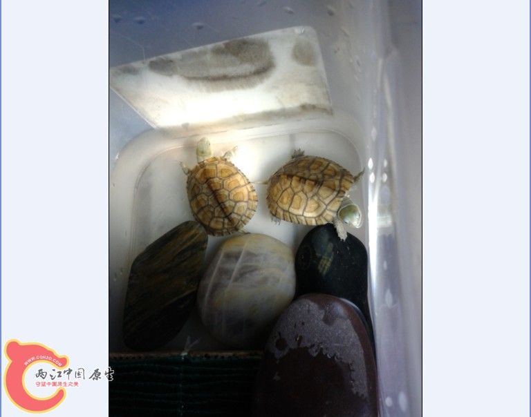 6%J_0}OQZ1H{V(L~6CGS}$X.jpg