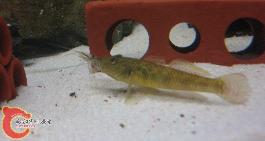 03.jpg