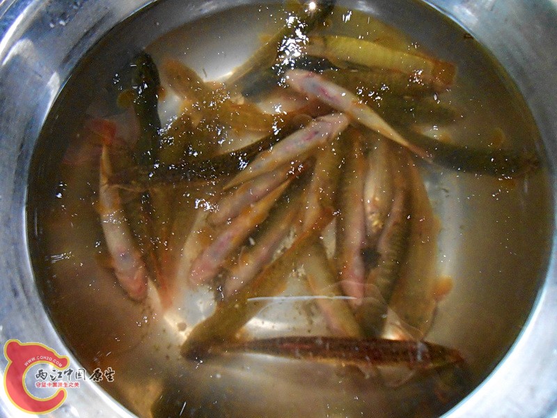 DSCN0564.jpg