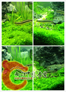 照片-1.PNG