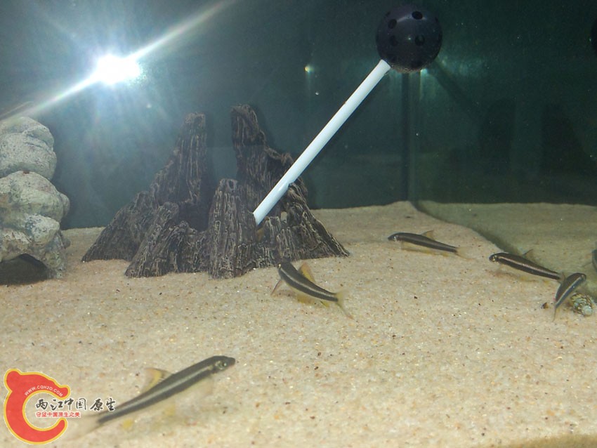 P21006-095027 - 副本.jpg