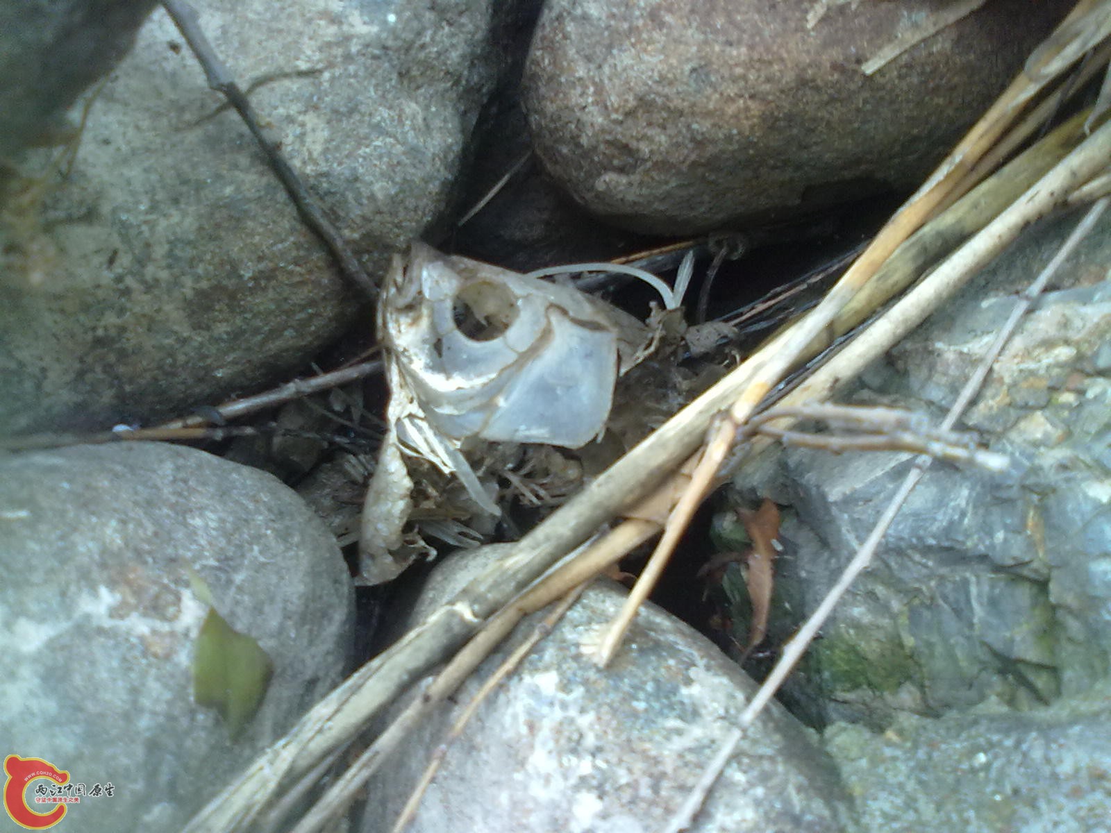 201107041810.jpg