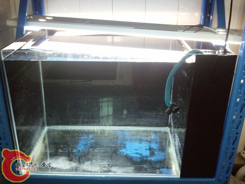 2012-11-10 14.40.07_副本.jpg