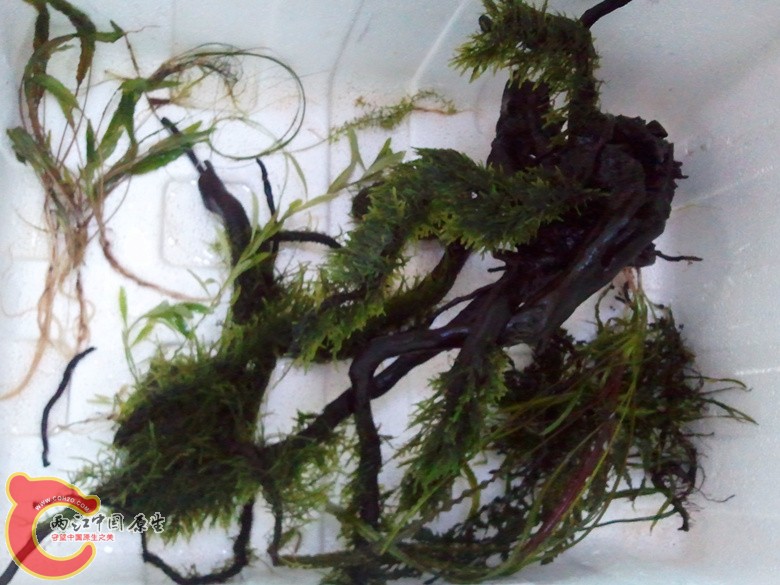 2012-11-10 16.34.27_副本.jpg