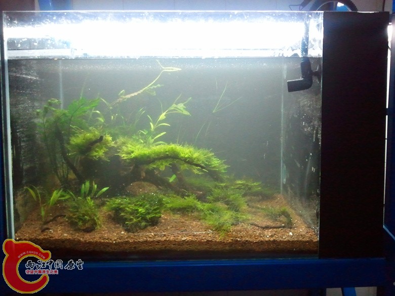 2012-11-10 19.12.58_副本.jpg