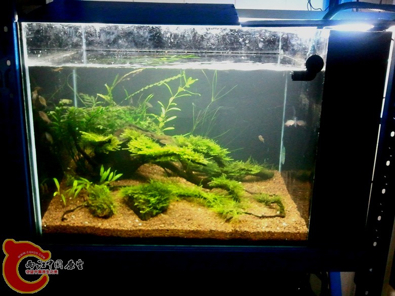 2012-11-11 23.50.10_副本.jpg