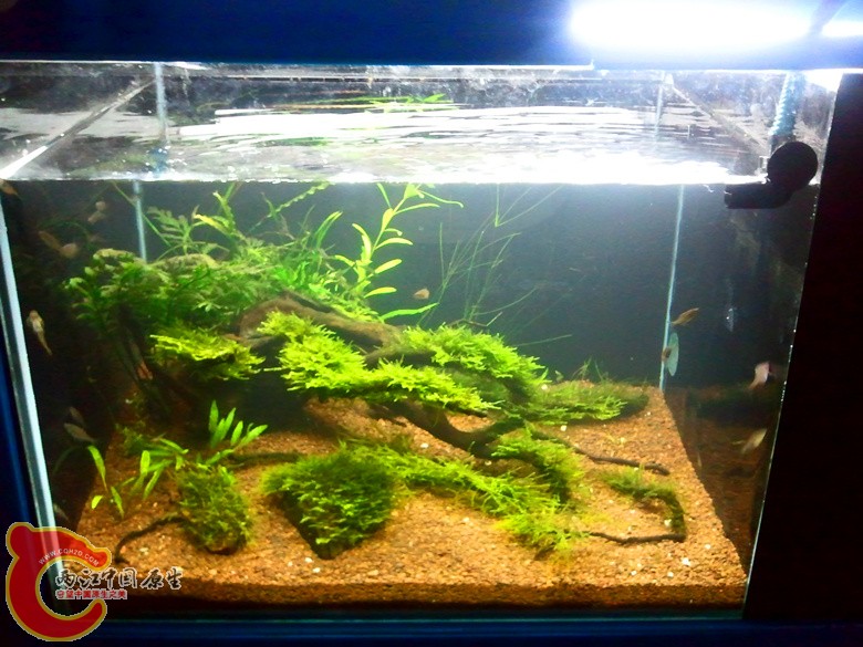 2012-11-11 23.50.17_副本.jpg