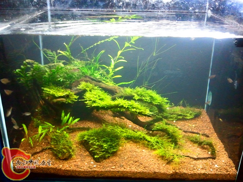 2012-11-11 23.50.24_副本.jpg