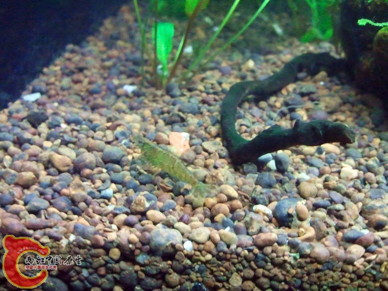 2012-11-12 19.54.44_副本.jpg