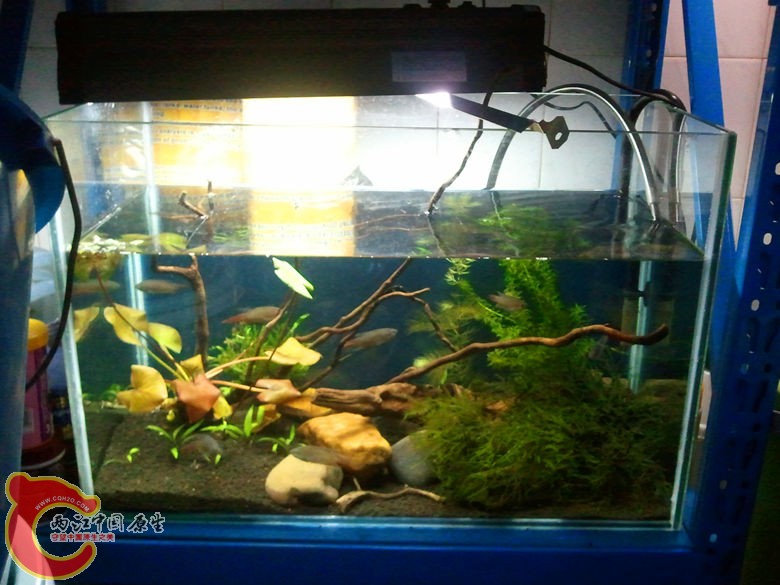 2012-11-12 19.58.37_副本.jpg