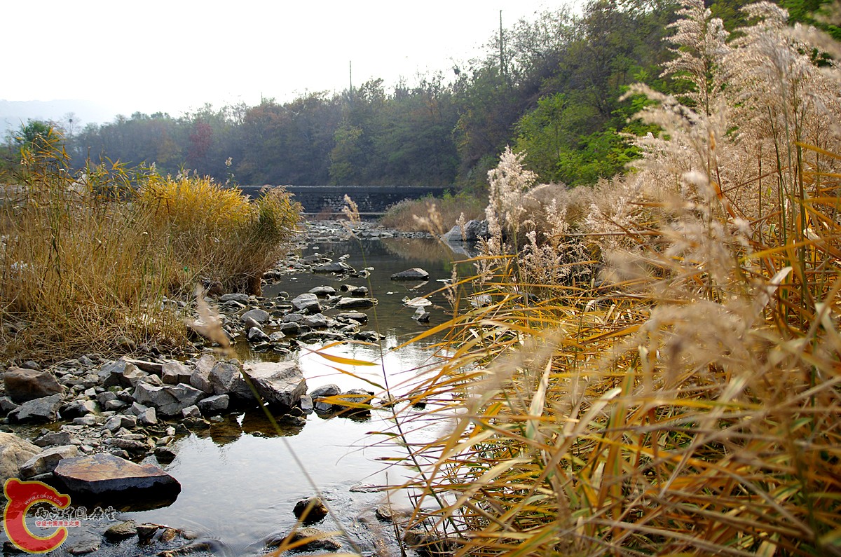 IMGP9156.JPG