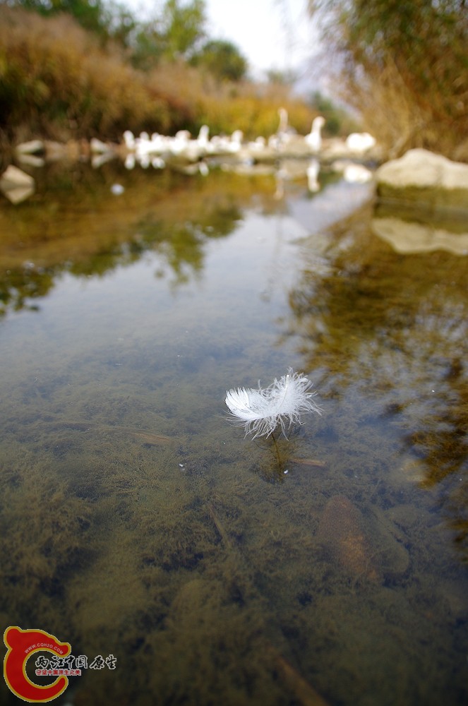 IMGP9207.JPG