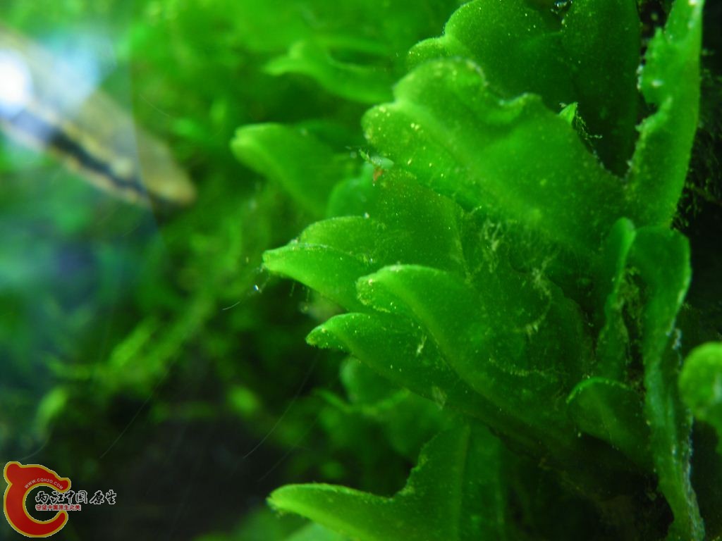 DSCF8579.JPG
