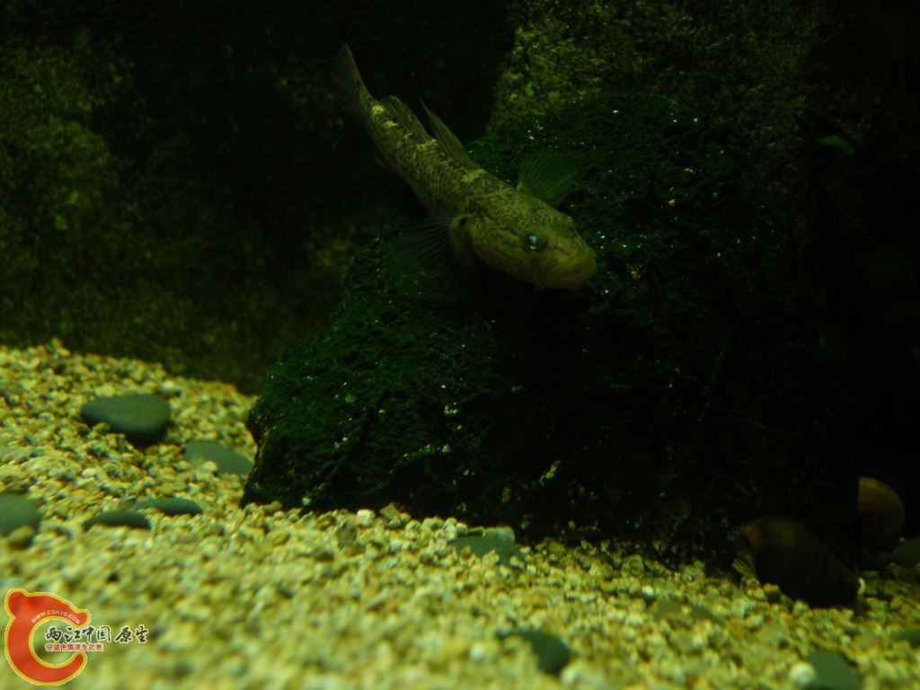 DSCF8588.JPG