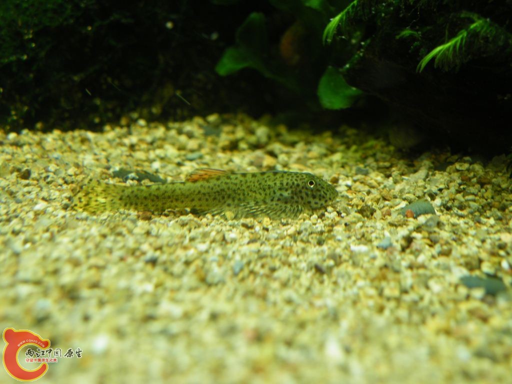 DSCF8589.JPG