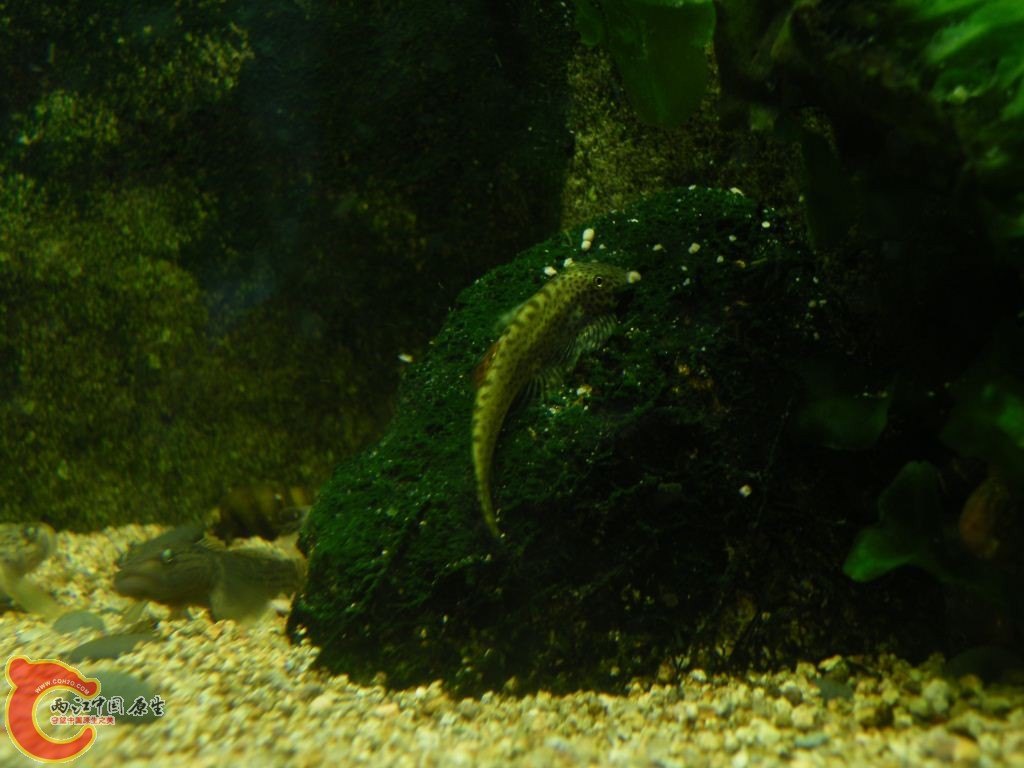DSCF8593.JPG