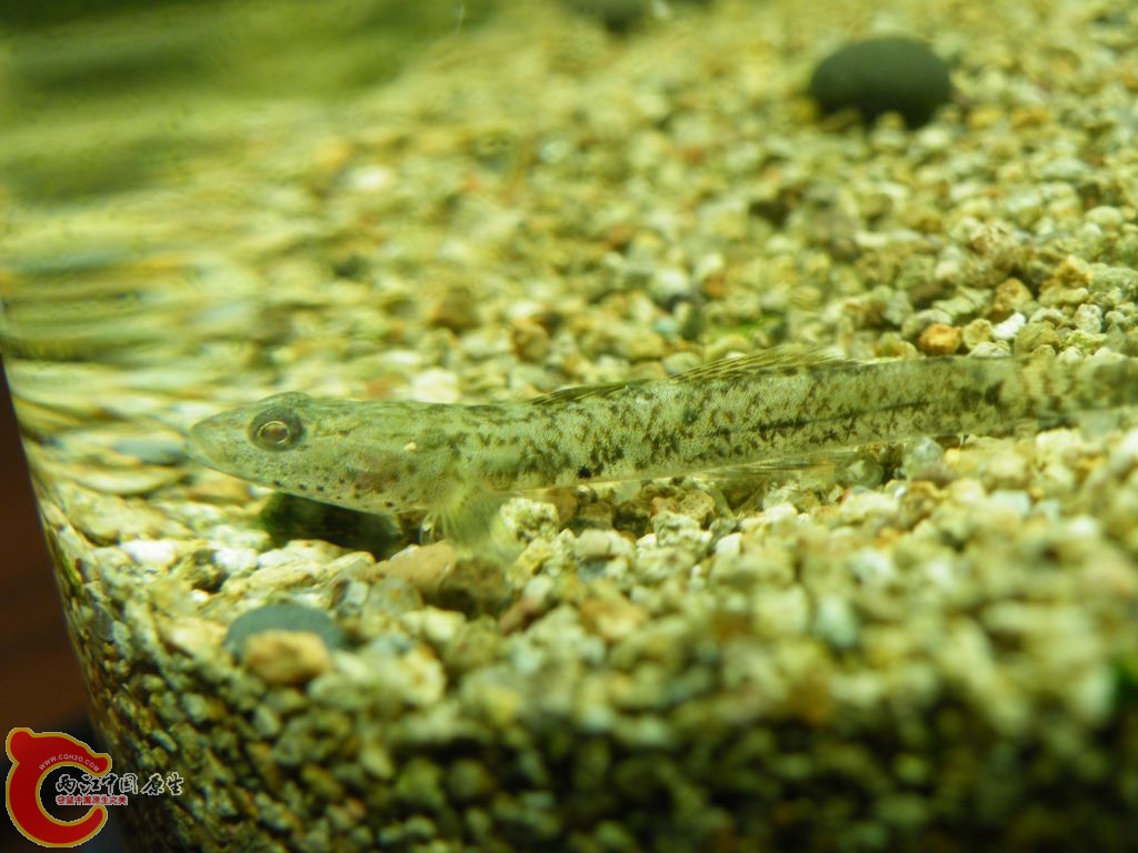 DSCF8594.JPG