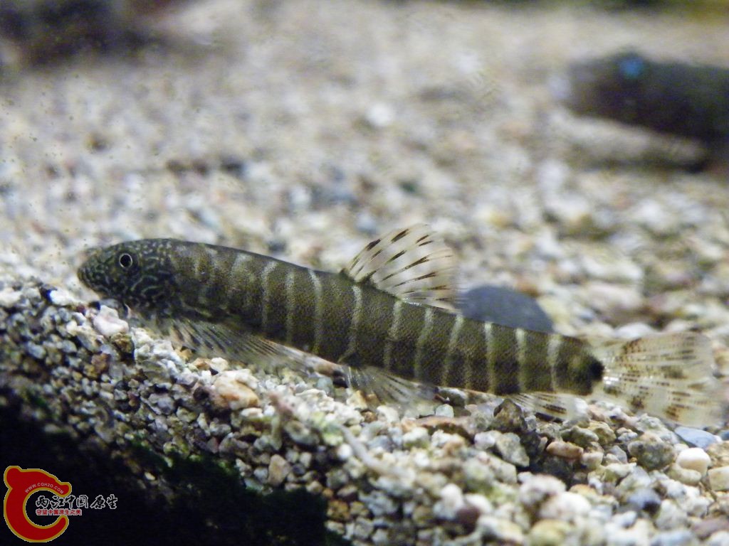 DSCF8648.JPG