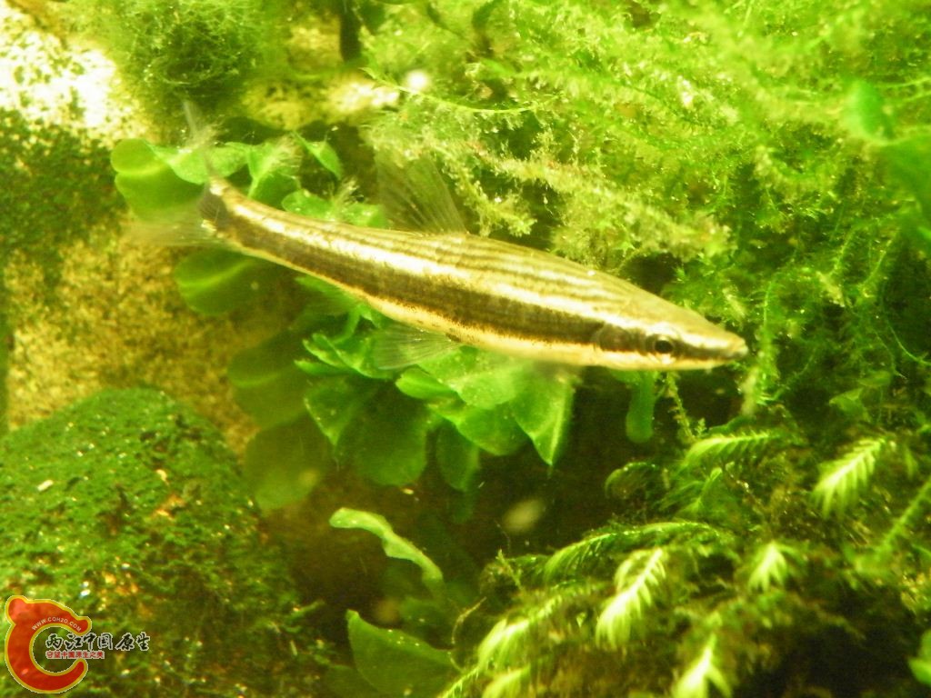 DSCF8651.JPG