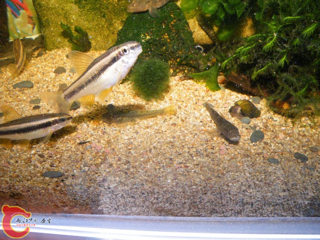DSCF8653.JPG