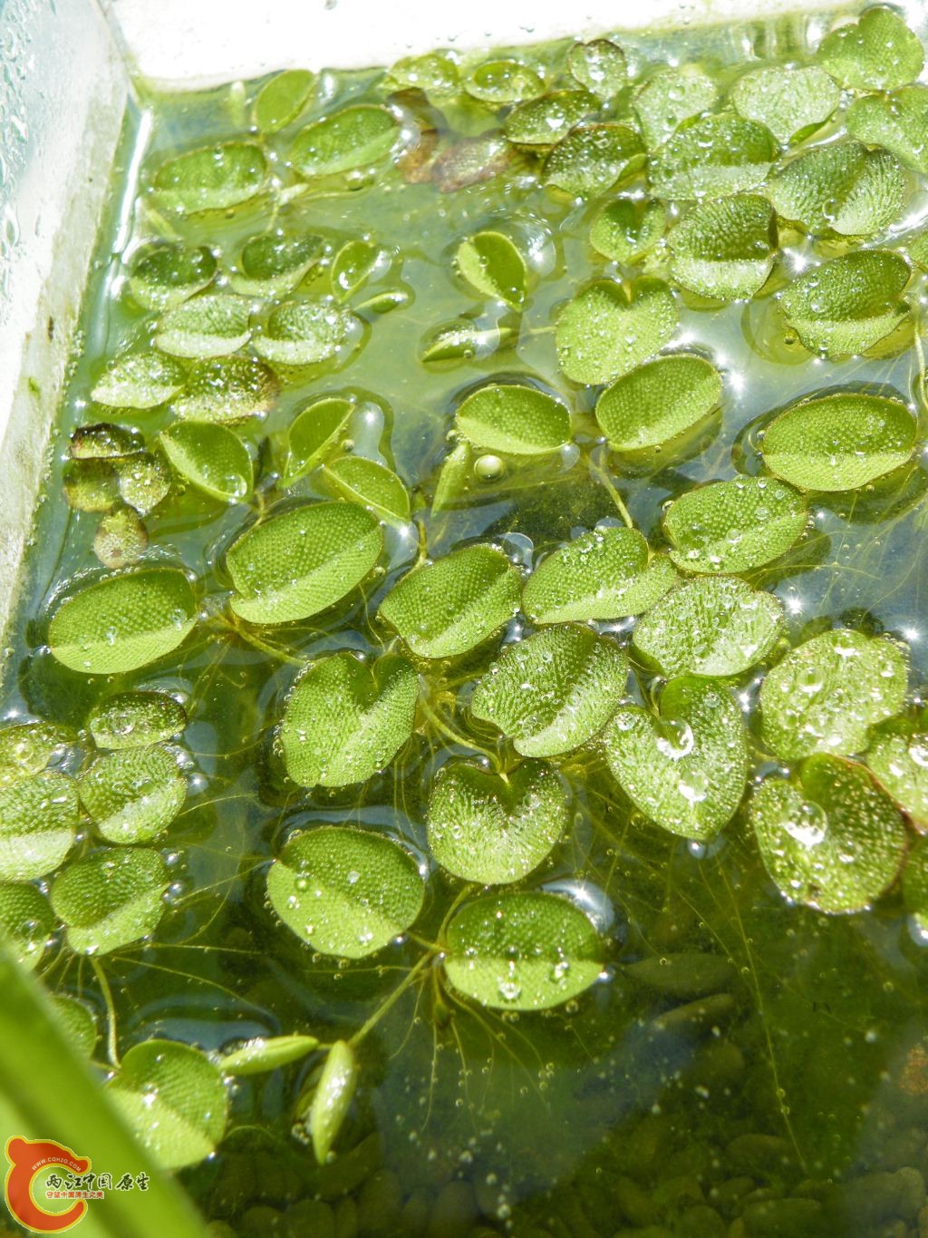 DSCF8657.JPG