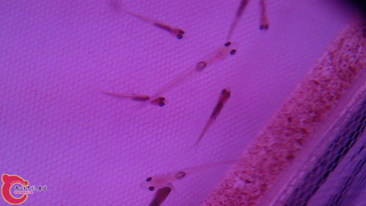 IMAG0234.jpg