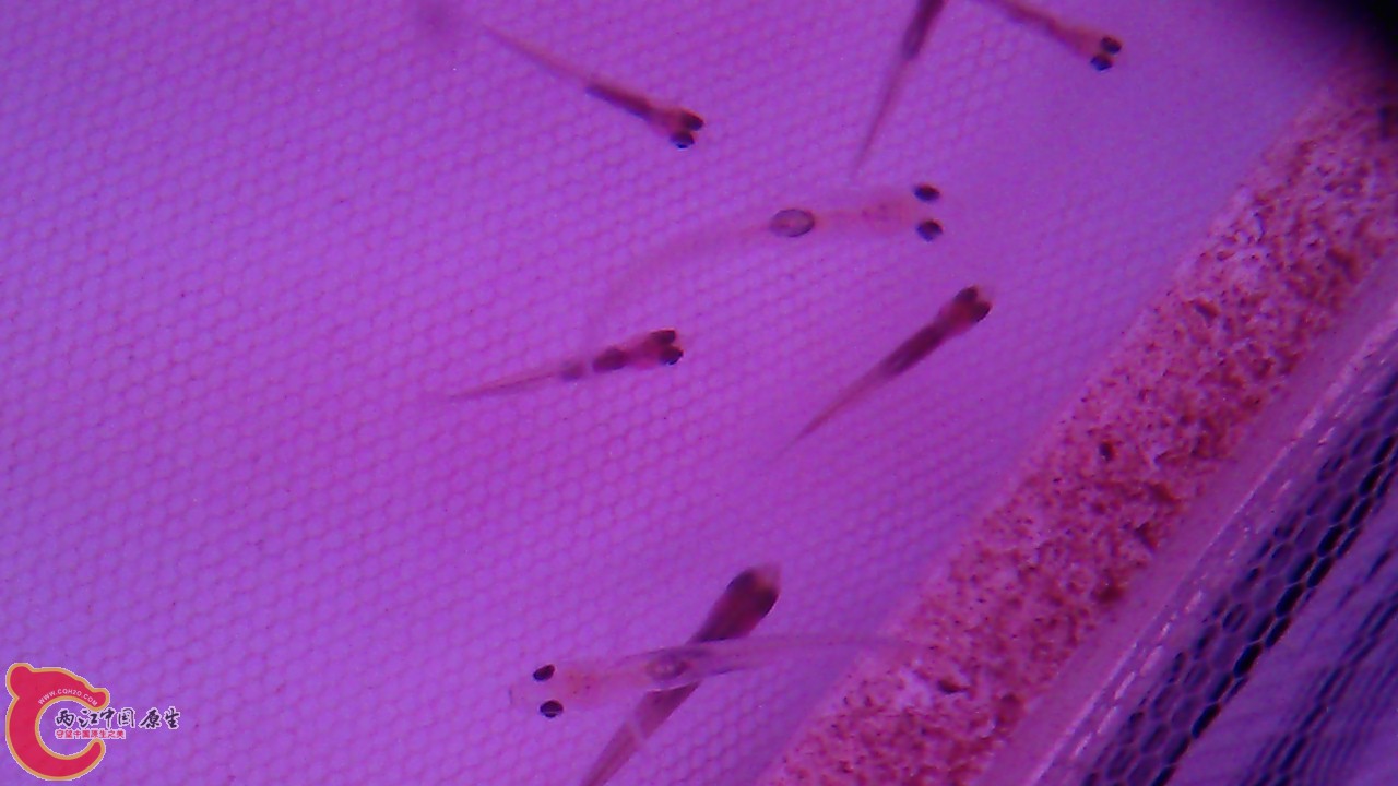 IMAG0235.jpg