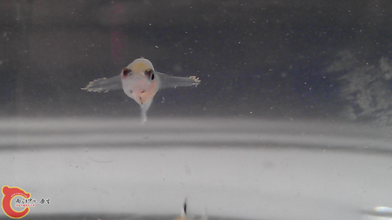 IMAG0249.jpg