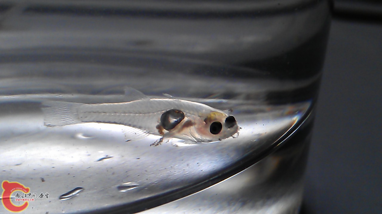 IMAG0262.jpg