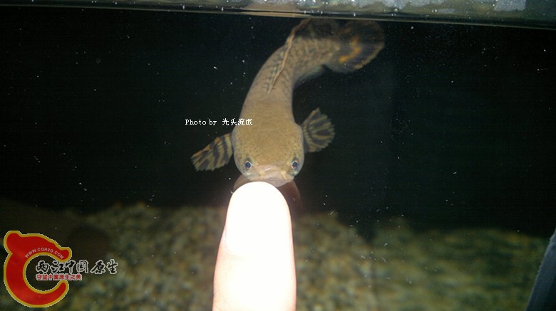 201211162996.jpg