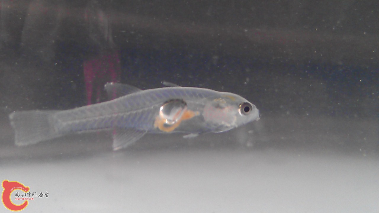 IMAG0257.jpg