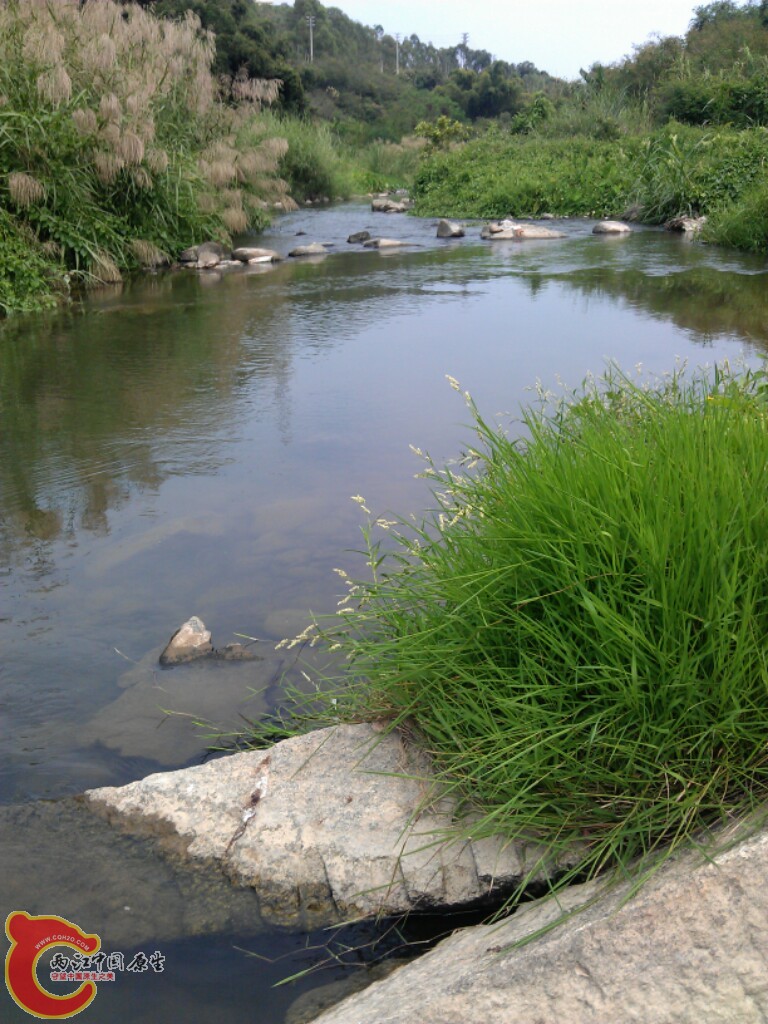 IMG_20121001_132917.jpg