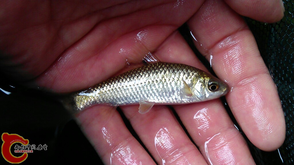 IMAG0483.jpg