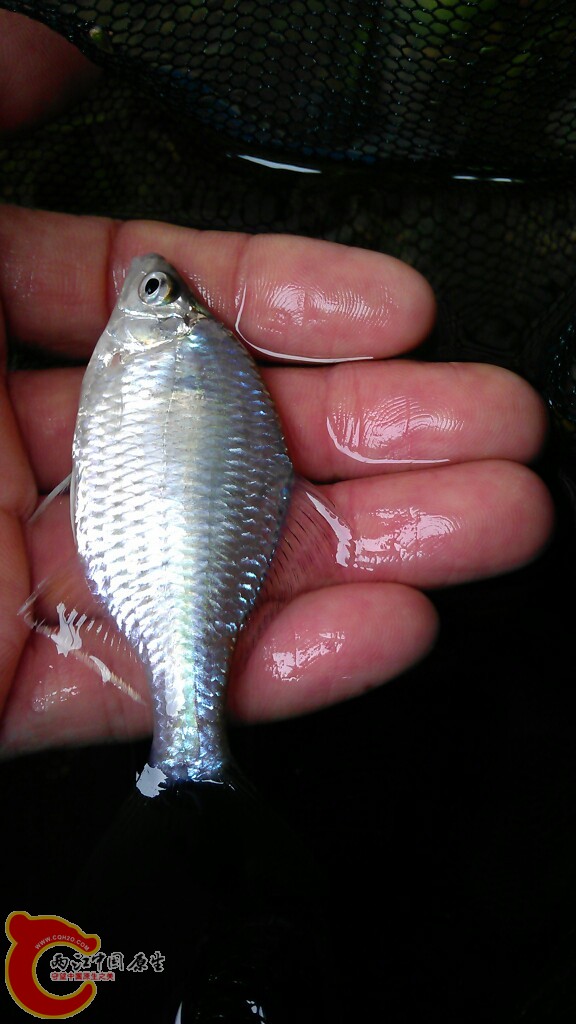 IMAG0469.jpg