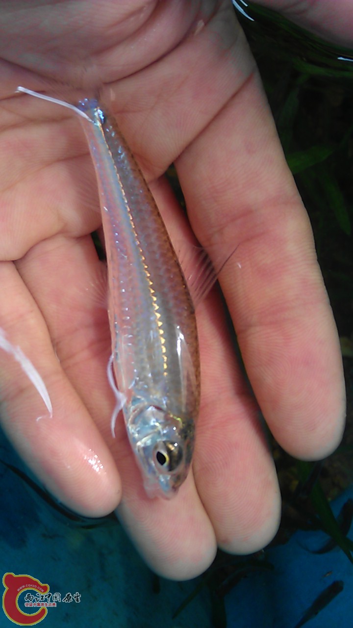 IMAG0291.jpg