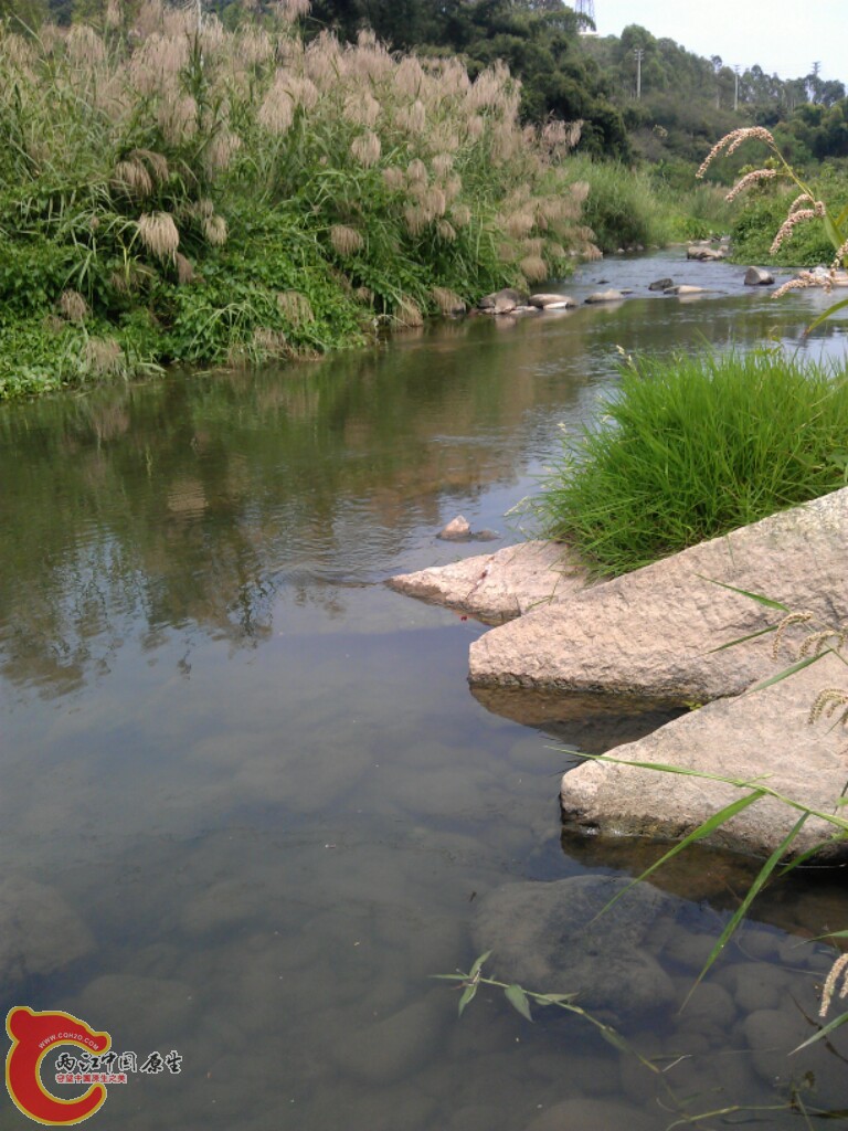 IMG_20121001_132908.jpg