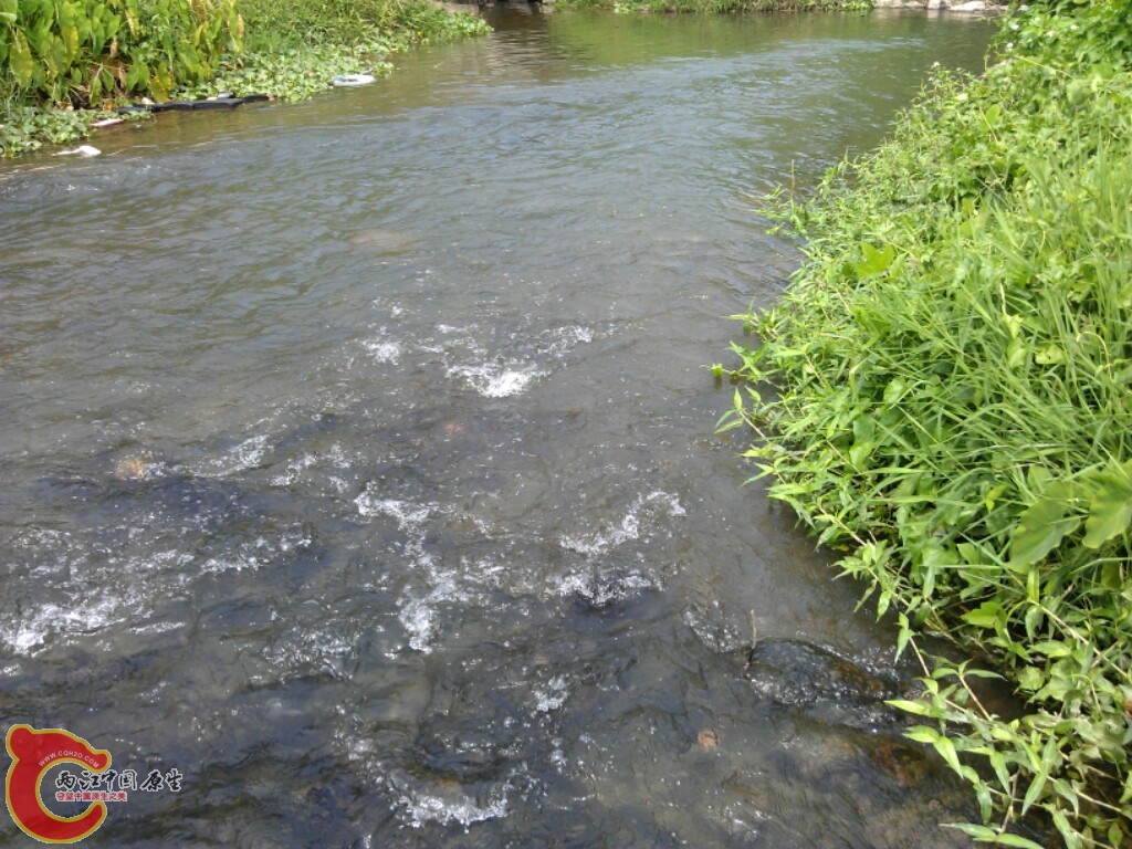 IMG_20121001_133351.jpg