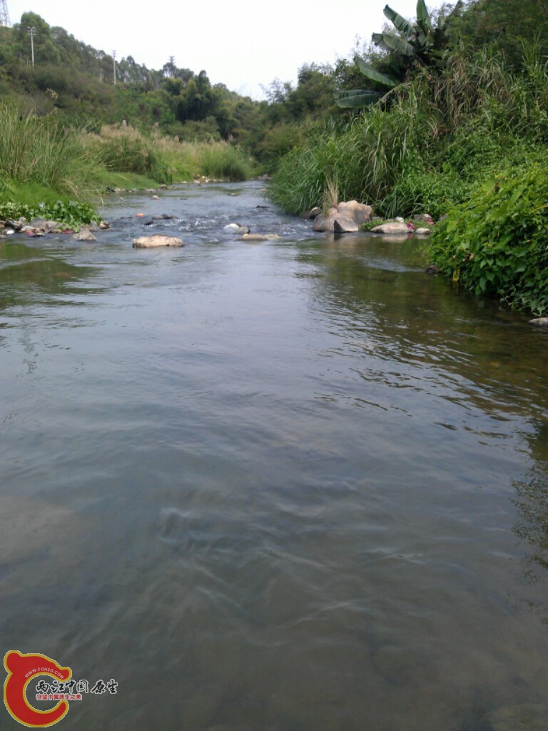 IMG_20121001_133742.jpg