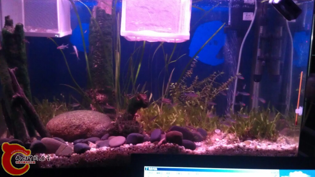 IMAG0529.jpg