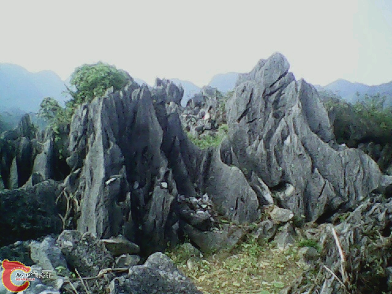 img0926_155319459.jpg