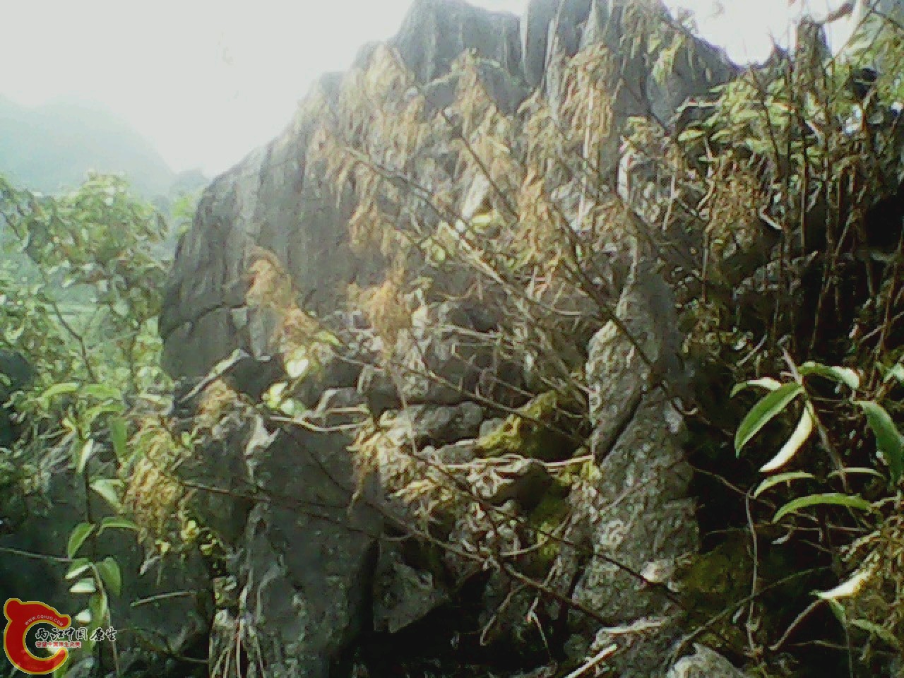 img0926_155421481.jpg