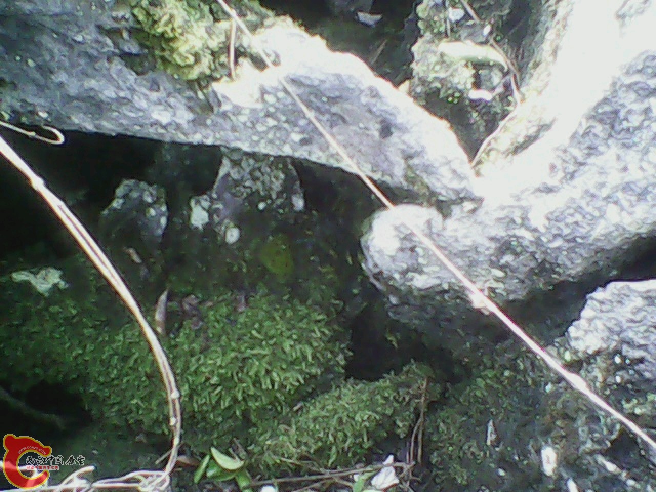 img0926_155454332.jpg