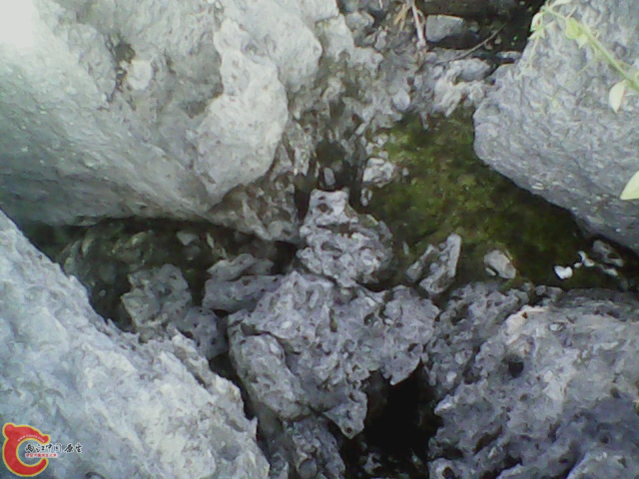 img0926_160045583.jpg