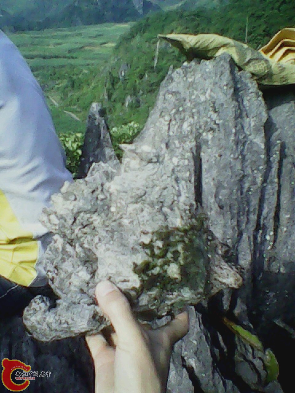 img0926_160203770.jpg