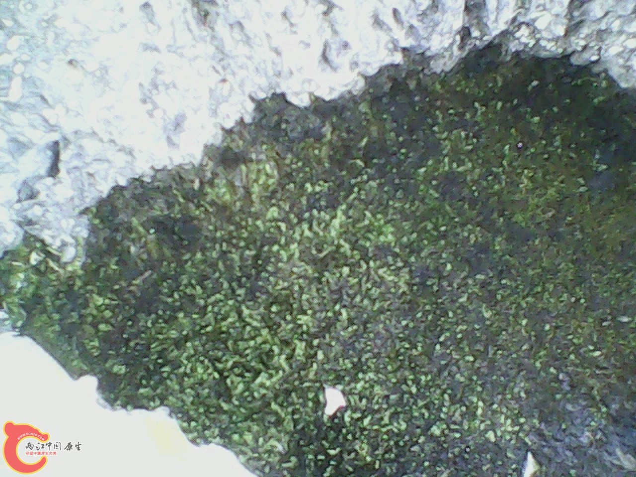 img0926_164505640.jpg