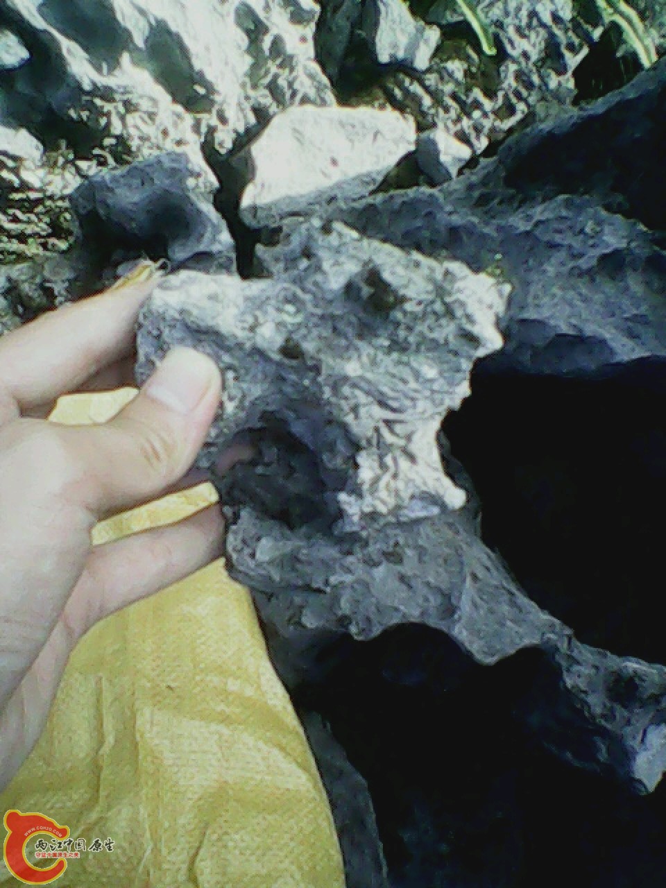 img0926_164820399.jpg
