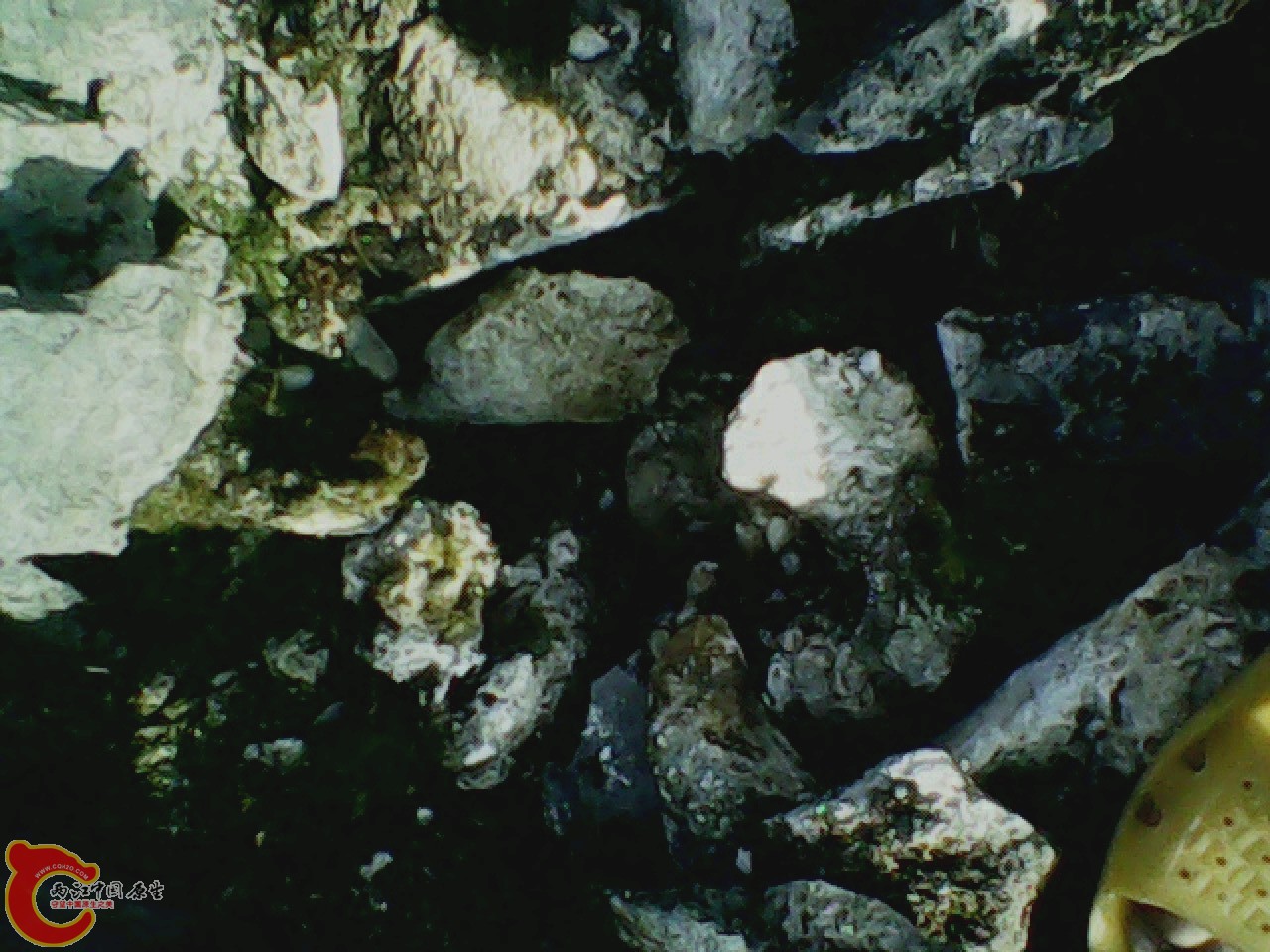 img0926_170633134.jpg
