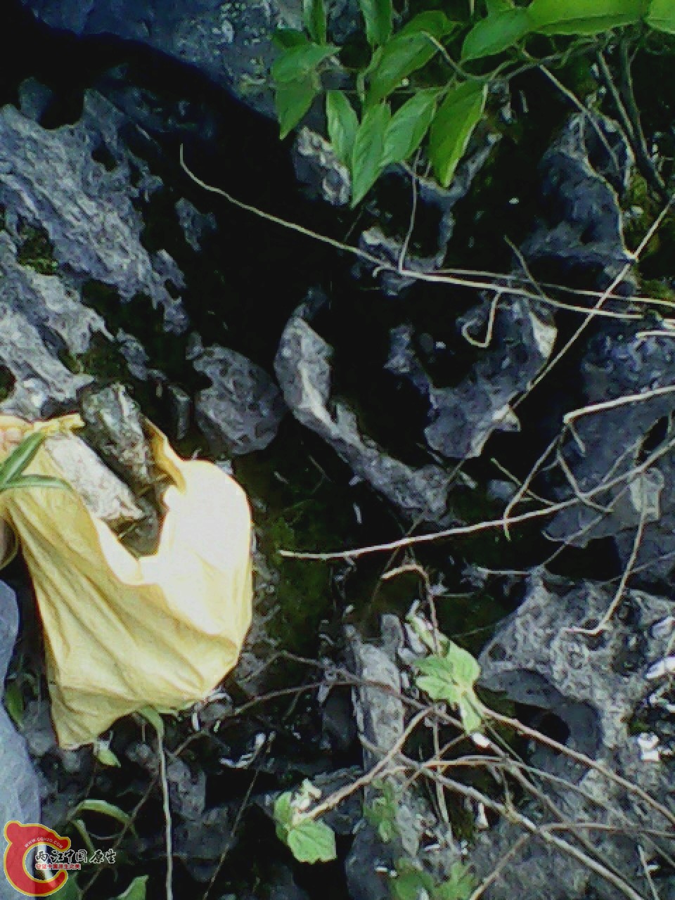 img0926_171126157.jpg